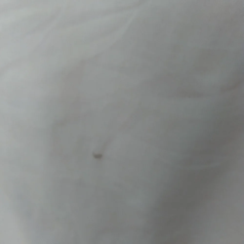 J Crew Ruffled top Size 2 - Picture 3 of 5